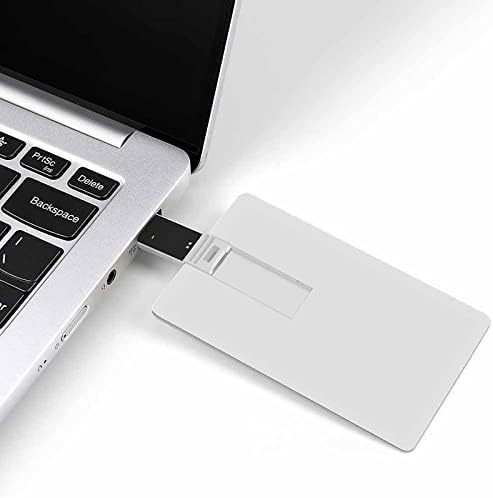Папагал на Тъмно USB памет Дизайн на Кредитна карта, USB Флаш устройство U Диск, Флаш устройство 64G