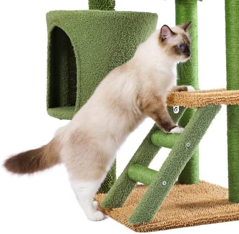 FUZOFUIZ Котешка Кула на Дървото за котки на закрито | на Етажната собственост за Котки с Прашка и Празни Кактусом, Котешка Стълба на Дървото, Поставка за Катерене с Хубав Малък Топката и Играчки за Игра на Къща