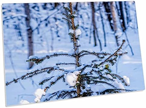 3. Производството на млада ела в заснеженном гората през зимата - Настолни подложки (dpd-280895-1)