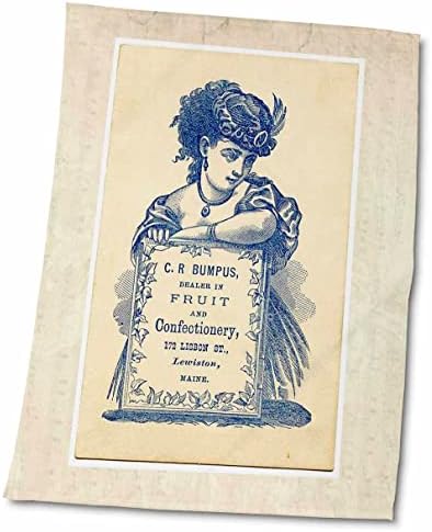 3dRose Florene Vintage - Реклама с син надпис Lady n - Кърпи (twl-44753-1)