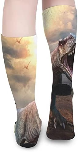 Подходящи по Цвят Високи Чорапи на Тиранозавър Рекс, Модни, Спортни Чорапи за Мъже и Жени
