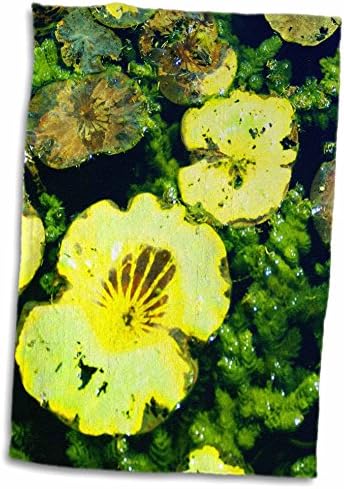 Кърпи 3dRose Florene Nature - Лили Pad Lemon - Лимон (twl-7773-1)