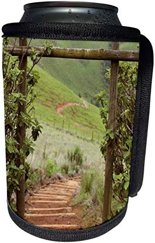 3дРоуз Данита Делимон - Стълбища - Мъглива долина и дървени стъпала, Иксопо, КваЗулу-Натал, Южна Африка. - Опаковки за бутилки-охладители (cc_207877_1)