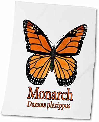 Триизмерна Голяма картина с изображение на Пеперуда-Монарх, прозрачен фон - Кърпи (twl-212845-3)